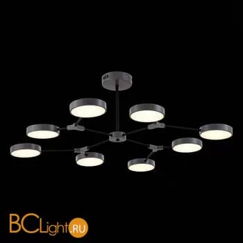 Люстра Evoluce Monta SLE6003-702-08 - Фото 4