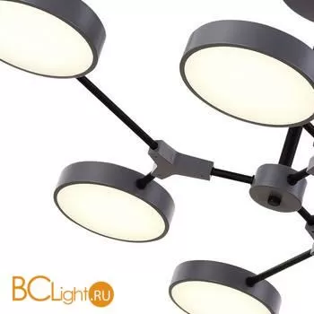 Люстра Evoluce Monta SLE6003-702-06 - Фото 3