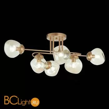 Люстра Evoluce More SLE155702-06 - Фото 3