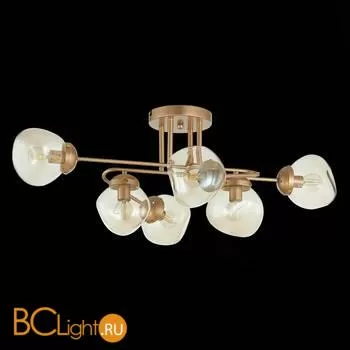 Люстра Evoluce More SLE155702-06 - Фото 4