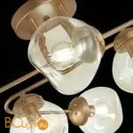 Люстра Evoluce More SLE155702-06 - Фото 6