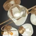 Люстра Evoluce More SLE155702-06 - Фото 10