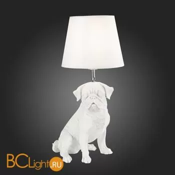 Настольная лампа Evoluce Narni SLE115224-01