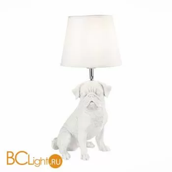 Настольная лампа Evoluce Narni SLE115224-01 - Фото 0