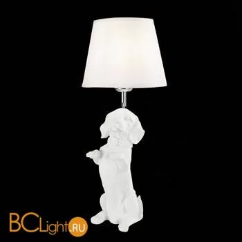 Настольная лампа Evoluce Narni SLE115214-01 - Фото 1