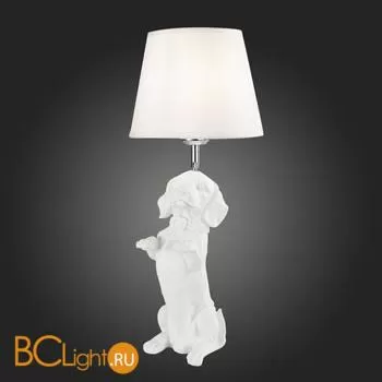 Настольная лампа Evoluce Narni SLE115214-01