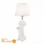 Настольная лампа Evoluce Narni SLE115214-01 - Фото 0