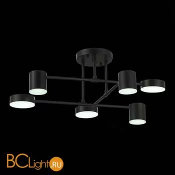 Люстра Evoluce Nobel SLE201042-06 - Фото 14