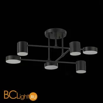 Люстра Evoluce Nobel SLE201042-06 - Фото 15