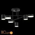 Люстра Evoluce Nobel SLE201042-06 - Фото 8