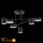 Люстра Evoluce Nobel SLE201042-06 - Фото 9