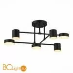 Люстра Evoluce Nobel SLE201042-06 - Фото 5