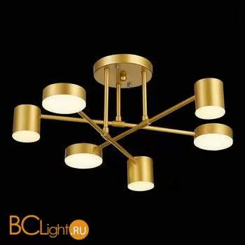 Люстра Evoluce Nobel SLE201022-06 - Фото 4