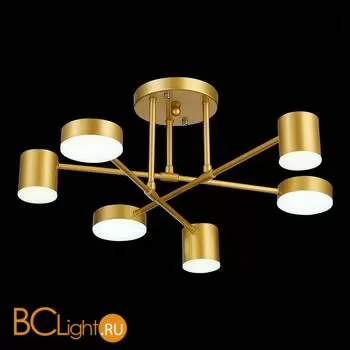 Люстра Evoluce Nobel SLE201022-06 - Фото 6