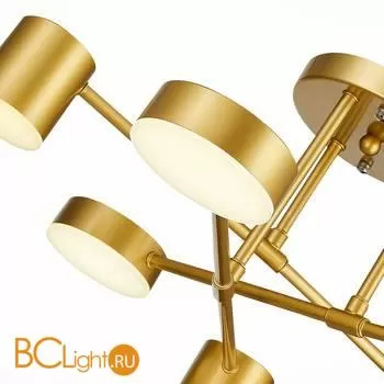 Люстра Evoluce Nobel SLE201022-06 - Фото 3