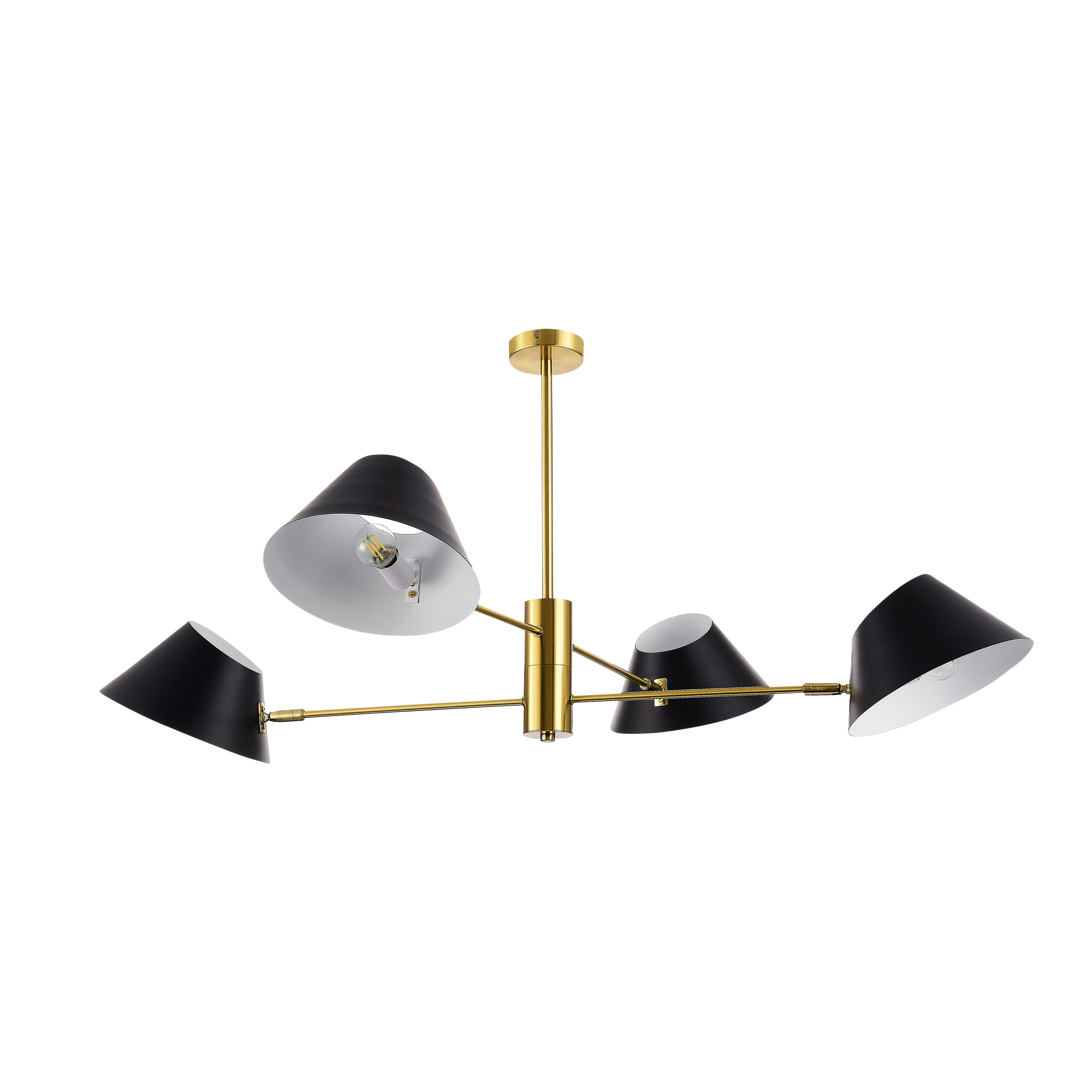 Evoluce Norbi Evoluce Norbi