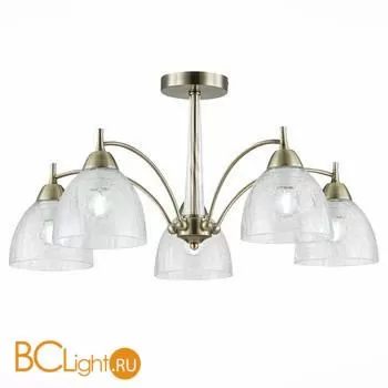 Люстра Evoluce Nuele SLE104402-05 - Фото 0