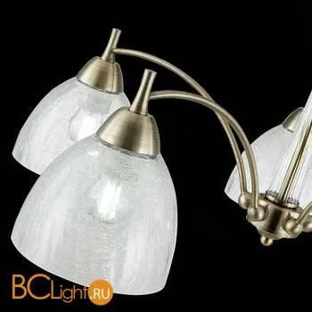 Люстра Evoluce Nuele SLE104402-05 - Фото 4