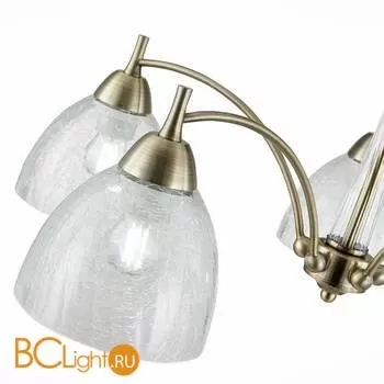 Люстра Evoluce Nuele SLE104402-05 - Фото 2