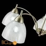 Люстра Evoluce Nuele SLE104402-05 - Фото 4