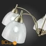 Люстра Evoluce Nuele SLE104402-05 - Фото 7