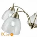 Люстра Evoluce Nuele SLE104402-05 - Фото 2