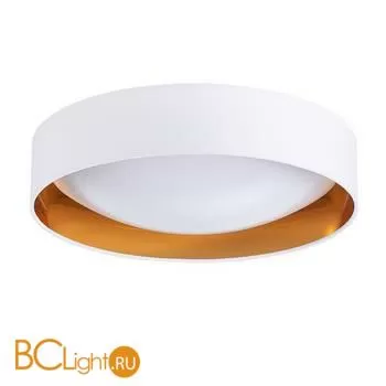Потолочный светильник Evoluce Orbio SLE201122-01 - Фото 1