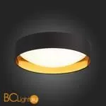 Потолочный светильник Evoluce Orbio SLE201102-01