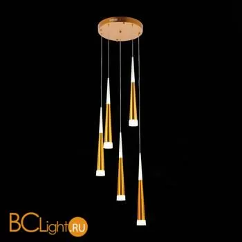 Подвесной светильник Evoluce Orpelo SLE200103-05