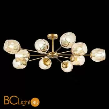 Люстра Evoluce Pallo SLE155412-10