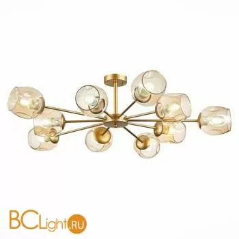 Люстра Evoluce Pallo SLE155412-10 - Фото 0