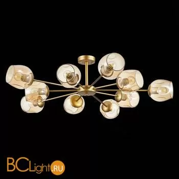 Люстра Evoluce Pallo SLE155412-10 - Фото 3