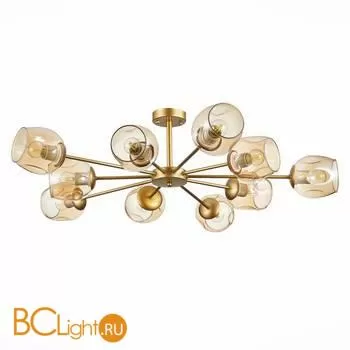 Люстра Evoluce Pallo SLE155412-10 - Фото 1