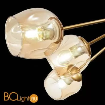 Люстра Evoluce Pallo SLE155412-10 - Фото 4