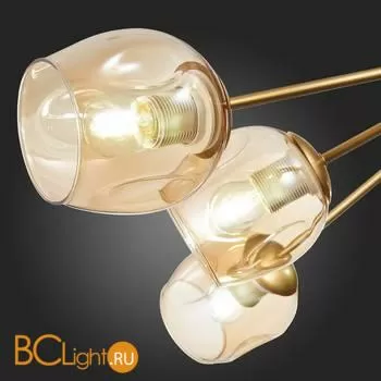 Люстра Evoluce Pallo SLE155412-10 - Фото 7