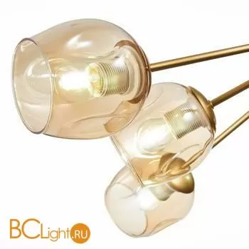 Люстра Evoluce Pallo SLE155412-10 - Фото 2