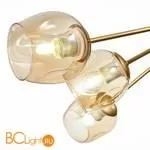 Люстра Evoluce Pallo SLE155412-10 - Фото 2