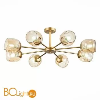 Люстра Evoluce Pallo SLE155412-08 - Фото 0