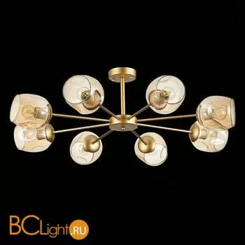 Люстра Evoluce Pallo SLE155412-08 - Фото 3