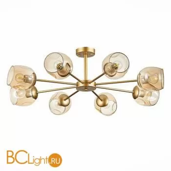 Люстра Evoluce Pallo SLE155412-08 - Фото 1