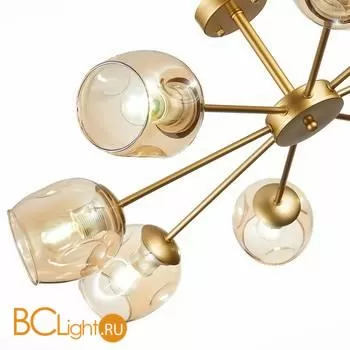 Люстра Evoluce Pallo SLE155412-08 - Фото 2
