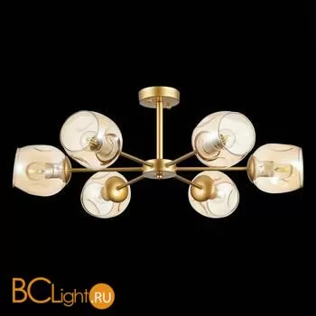 Люстра Evoluce Pallo SLE155412-06 - Фото 3