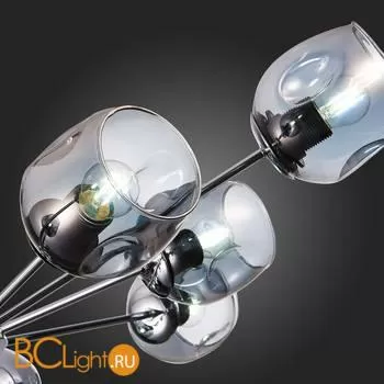 Люстра Evoluce Pallo SLE155402-10 - Фото 7