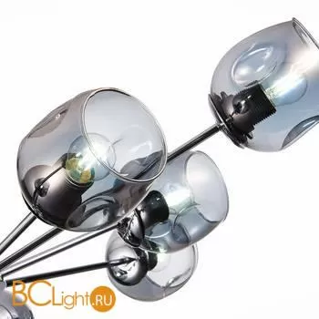 Люстра Evoluce Pallo SLE155402-10 - Фото 2