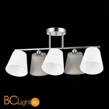 Потолочный светильник Evoluce Prato SLE300402-05