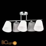 Потолочный светильник Evoluce Prato SLE300402-05