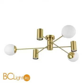 Люстра Evoluce RAITO SLE1105-302-06