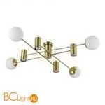 Люстра Evoluce RAITO SLE1105-302-08