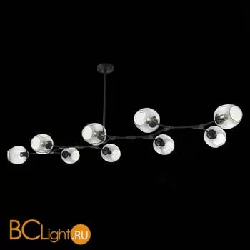 Люстра Evoluce Rametto SLE154843-09 - Фото 2