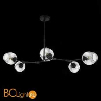 Люстра Evoluce Rametto SLE154843-05 - Фото 2